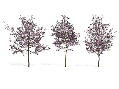 Three Vibrant Arbor Trees With Purple Flowers And Lush Green Leaves 3d model