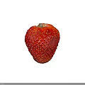 Red Juicy Strawberry on Vibrant Pink Background Looking Fresh and Ripe