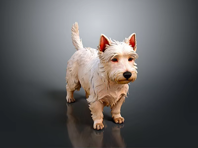 3D Rendered West Highland White Terrier With White Fur And Erect Ears On Dark Background 3d model