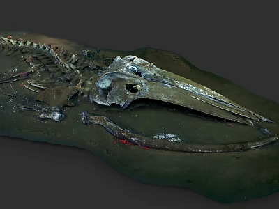 Ancient Dinosaur Skeleton Fossil With Long Beak And Vertebrae On 3d model