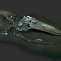 Ancient Dinosaur Skeleton Fossil With Long Beak And Vertebrae On