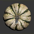 Fresh Ripe Small Round Pumpkin With Green And White Stripes On Dark Background