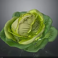 Fresh Cabbage With Vibrant Green Leaves And Crisp Texture On Dark Background