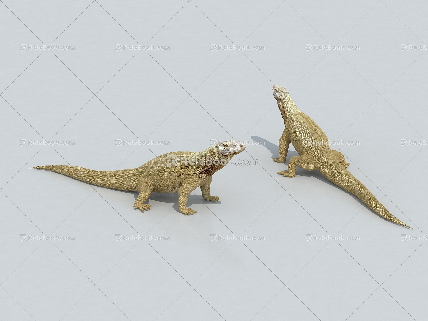 Komodo dragon lizard 3d model