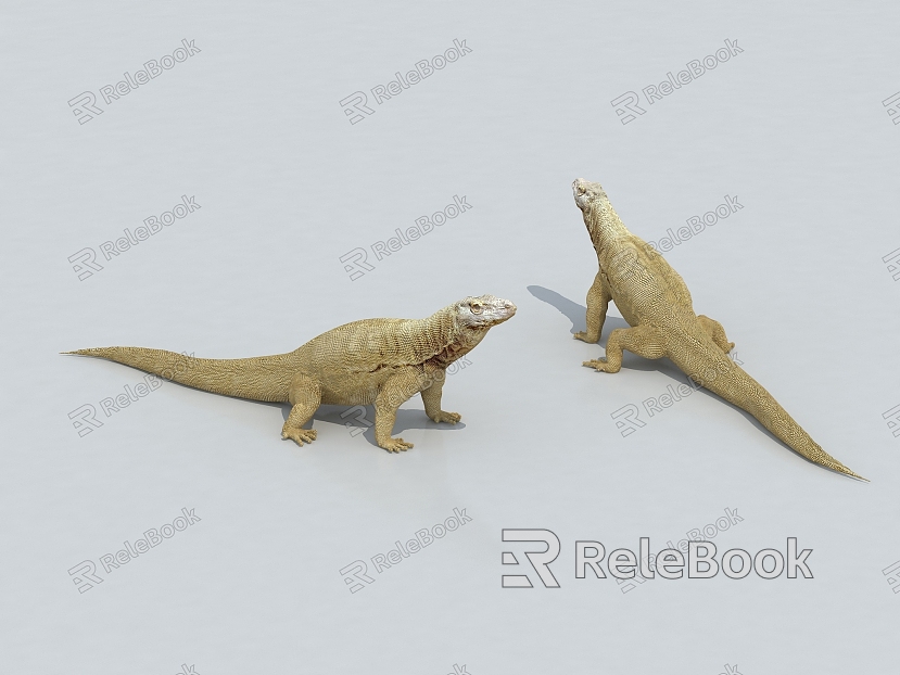 Komodo dragon lizard model