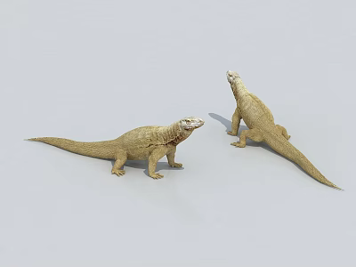 Two Beige Lizards Standing On Gray Background In Reptile Habitat Display Scene 3d model