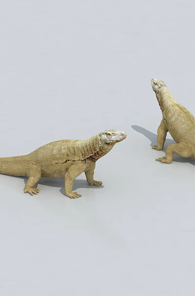 Two Beige Lizards Standing On Gray Background In Reptile Habitat Display Scene 3d model