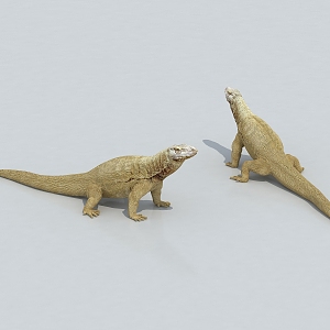 Komodo dragon lizard 3d model