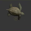 Green Sea Turtle With Brownish Shell And Textured Green Flippers On Dark Background