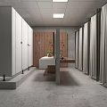 Modern Spacious Public Gym Restroom With Shower Curtains Storage Lockers And Clean Wash Station