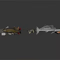 Various Fish Species in Different Colors Arranged in Circle on Dark Background