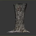 Natural Wood Stump With Intricate Root Structure And Stone Accents