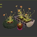 Red Flowers Growing In Tire Planter Clay Pot And Boat Shaped Container On Gray Background
