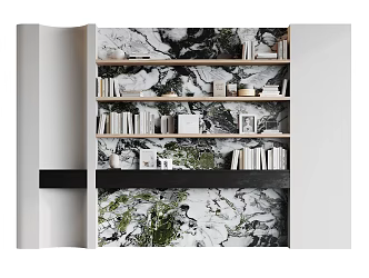 Modern bookcase 3d model