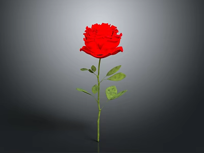 Beautiful Red Rose With Green Stem And Leaves On Gray Background 3d model