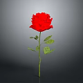 Beautiful Red Rose With Green Stem And Leaves On Gray Background