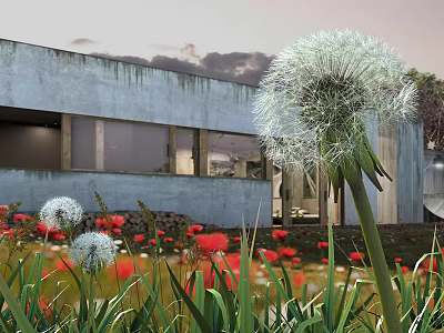 Vibrant Red Flowers and Fluffy Dandelions in Garden Near Modern Gray Building with Large Windows 3d model