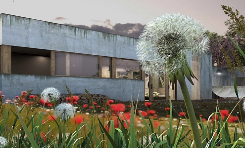 Modern Dandelion 3d model