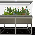 Beautiful Aquarium Fish Tank With Green Aquatic Plants Colorful Fish Stones And Clear Water