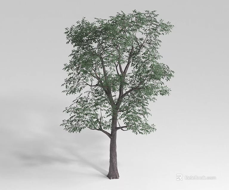 Lush Green Shrub With Dense Foliage In Natural Growth Outdoor Setting 3d model 