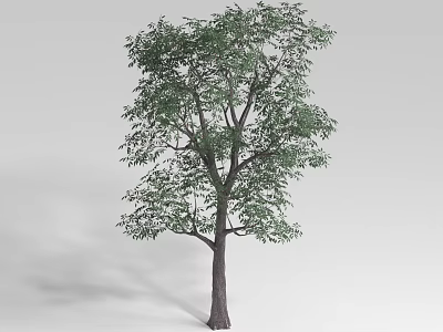 Lush Green Shrub With Dense Foliage In Natural Growth Outdoor Setting 3d model