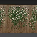Lush Twisted Vines with Green Leaves and White Flowers on Wooden Background