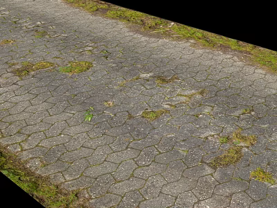 Road Infrastructure With Hexagonal Paving Stones And Moss Growth On Surface 3d model