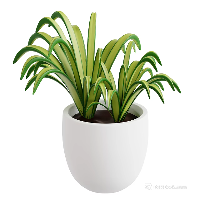 Green and Yellow Striped Plant with Long Leaves in White Ceramic Pot 3d model 