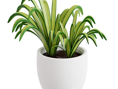 Green and Yellow Striped Plant with Long Leaves in White Ceramic Pot 3d model