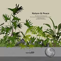 Nature Peace Themed Garden Decor Featuring Various Green Plants Ferns And Glowing Lamp