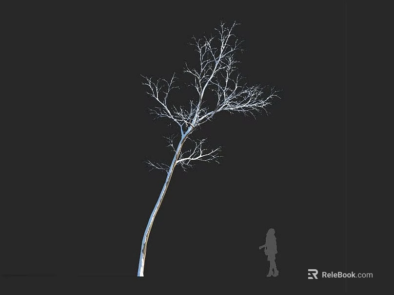 Leafless Tree with Curved Trunk and Human Silhouette Against Black Background 3d model