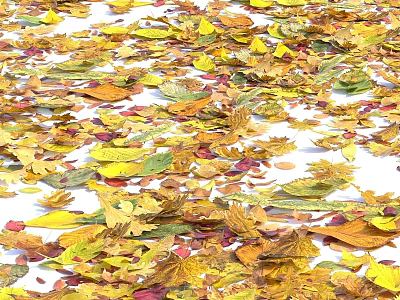 Beautiful Garden Ornament With Colorful Fallen Leaves On White Ground 3d model