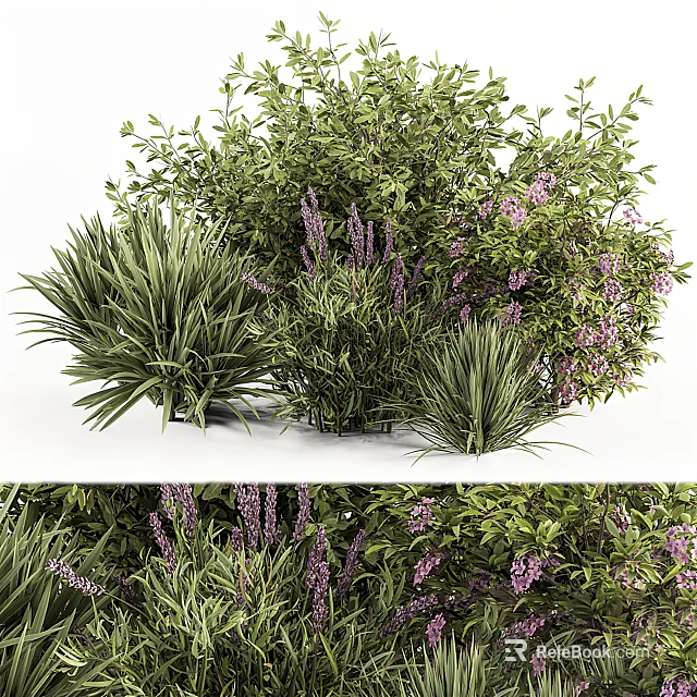 Lush Shrubs With Purple Flowers And Vibrant Green Foliage For Outdoor Gardens 3d model 