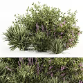 Lush Shrubs With Purple Flowers And Vibrant Green Foliage For Outdoor Gardens
