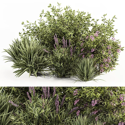 Lush Shrubs With Purple Flowers And Vibrant Green Foliage For Outdoor Gardens 3d model