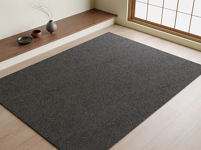 Gray Square Rug On Wooden Floor With Decorative Vases And Natural Light 3d model
