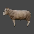 Realistic Game Movie Character Sheep With Curved Horns And Brown Wool