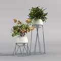 Decorative Potted Plants In White Pots With Metal Stands Green Leaves And Yellow Flowers