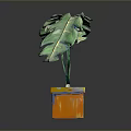 Monstera Plant With Large Green Split Leaves In Yellow Orange Painted Square Pot