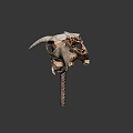 Ancient Dinosaur Skull Fossil With Large Horns And Sharp Teeth Structure