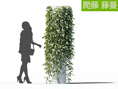 Lush Green Climbing Vines in Vertical Growth with Decorative Plant Pot and Silhouette Figure 3d model