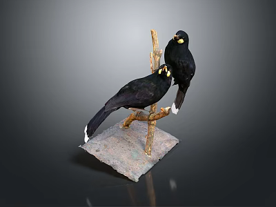 Two Black Birds Perched On A Wooden Branch With Stone Base 3d model