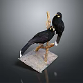 Two Black Birds Perched On A Wooden Branch With Stone Base