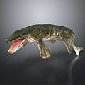 Prehistoric Aquatic Reptile Creature With Open Mouth Sharp Teeth And Scaly Skin