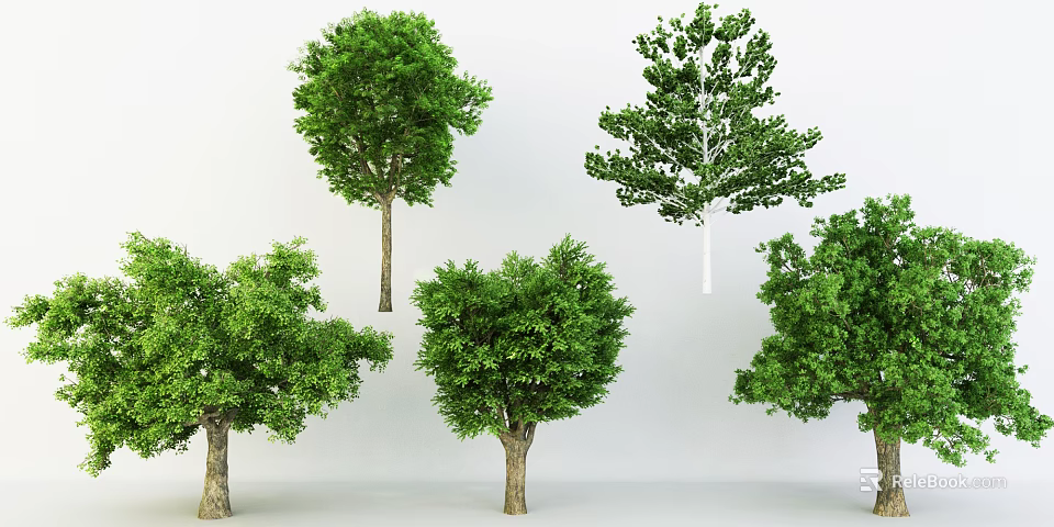Different Types of Trees with Lush Green Foliage and Strong Trunks 3d model 