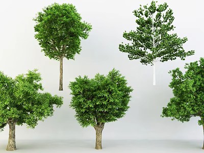 Different Types of Trees with Lush Green Foliage and Strong Trunks 3d model