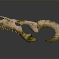 Mythical Creature Skull With Green Moss Covered Curved Horns And Sharp Teeth