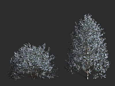 Arbor Trees with Two Distinct Sizes and Lush Foliage Branch Structures 3d model