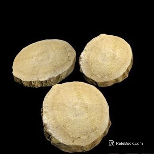 Three Circular Dried Root Slices On Black Background With Textured Surface 3d model 