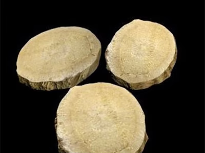 Three Circular Dried Root Slices On Black Background With Textured Surface 3d model